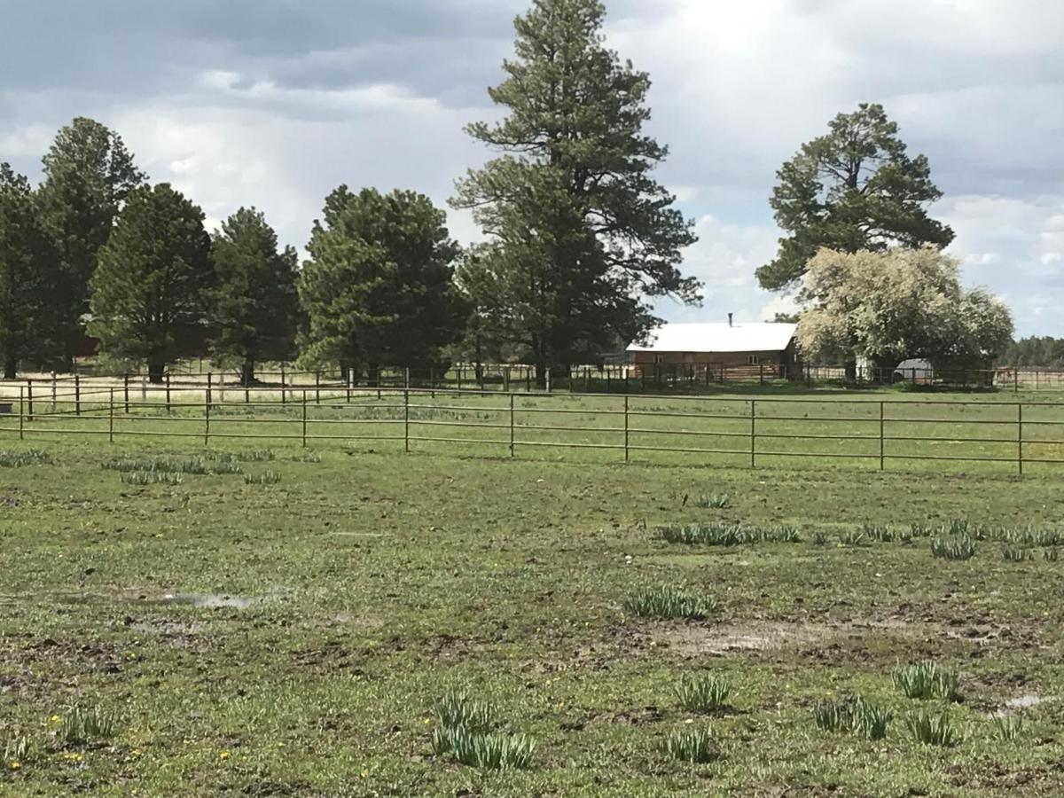 Grand Canyon Cottage At Historic Wrigley Ranch With Horseback Riding & Shooting Parks ภายนอก รูปภาพ